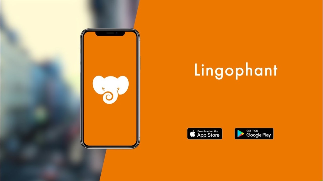 Lingophant App Rebuild